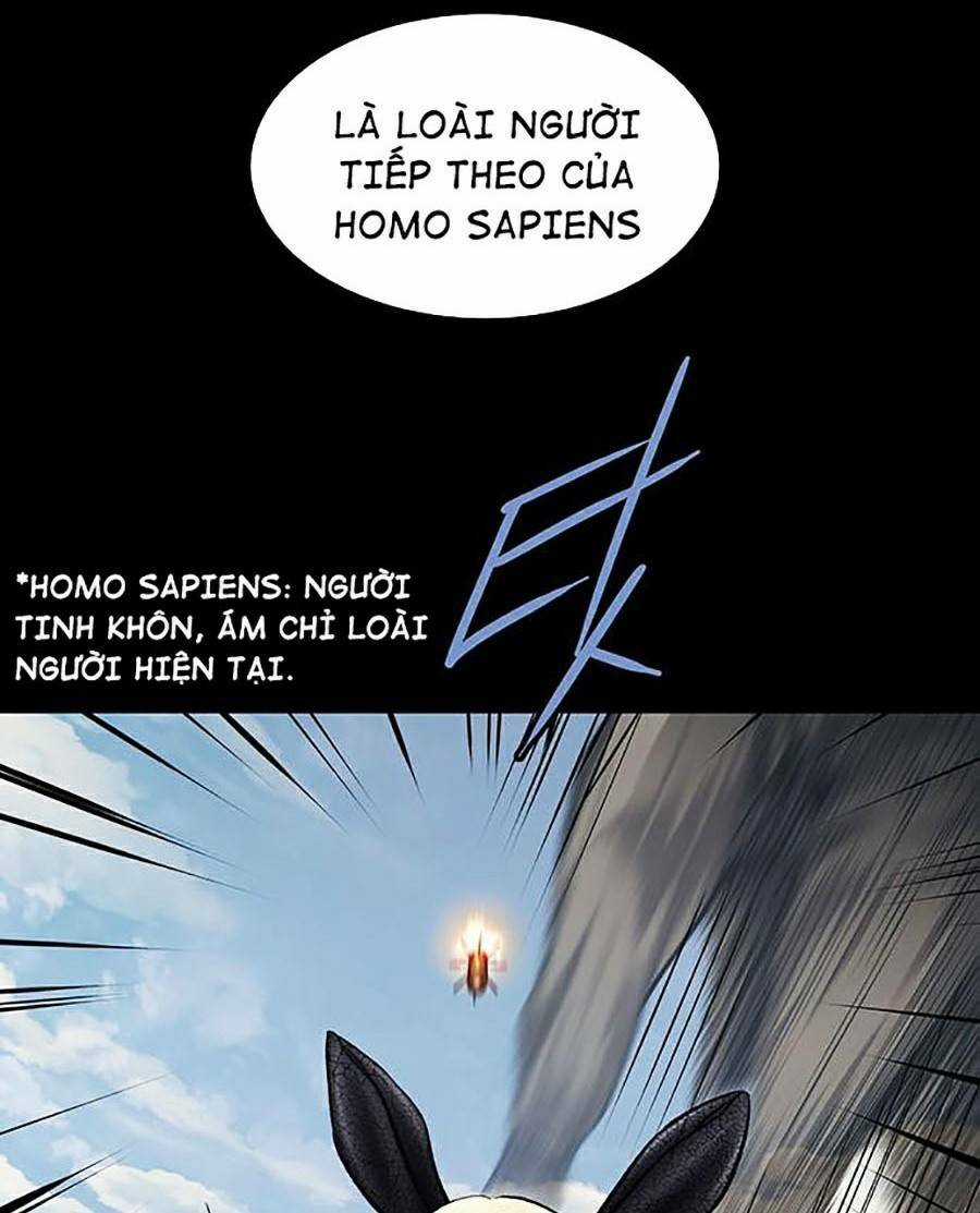 THẢM HỌA ONG ĐỘC - Chapter 286 - Trang 36