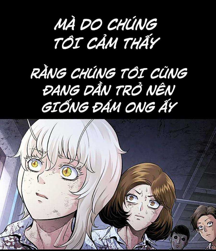 THẢM HỌA ONG ĐỘC - Chapter 288 - Trang 18