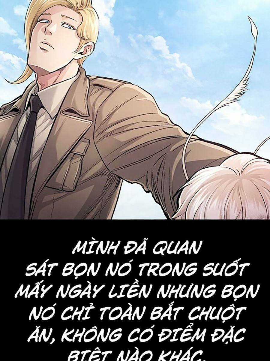 THẢM HỌA ONG ĐỘC - Chapter 289 - Trang 17