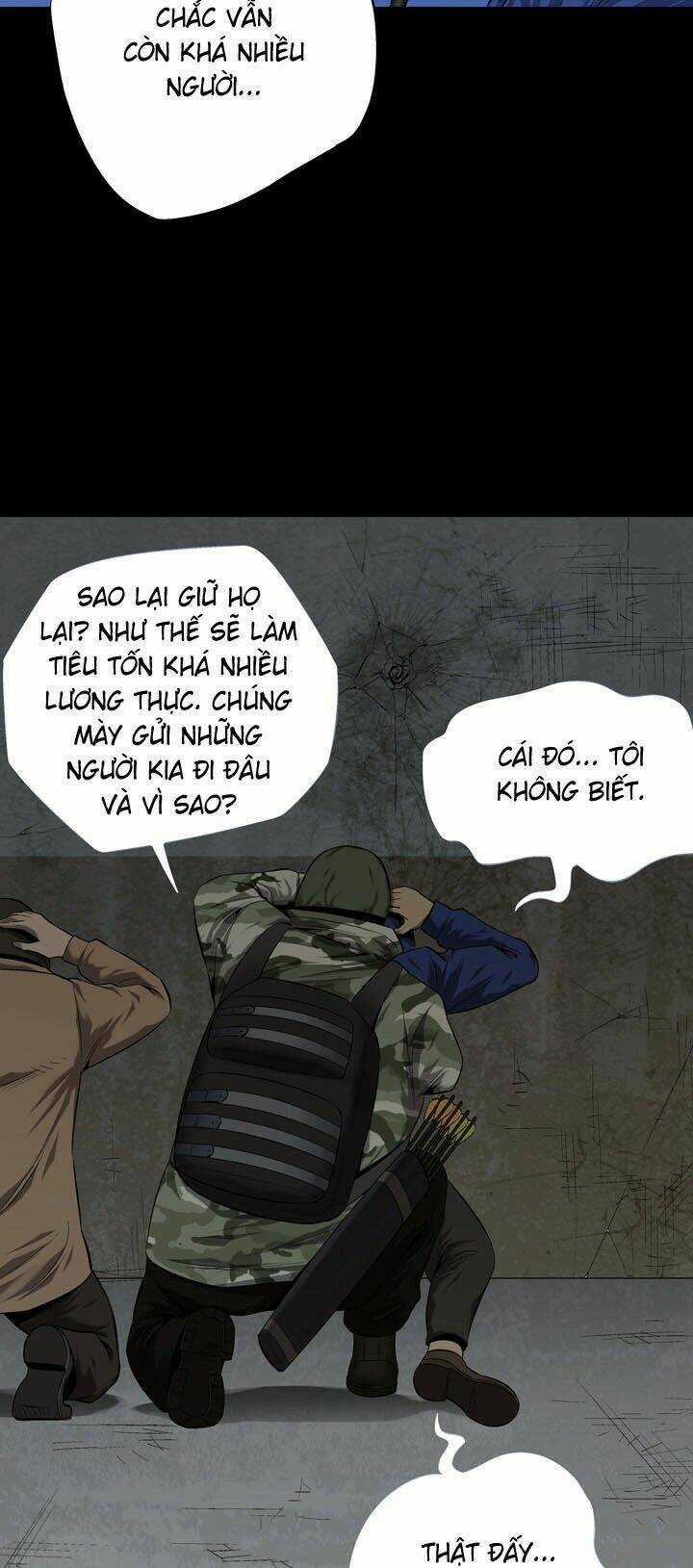 THẢM HỌA ONG ĐỘC - Chapter 53 - Trang 13