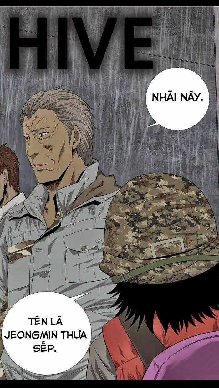 THẢM HỌA ONG ĐỘC - Chapter 54 - Trang 1