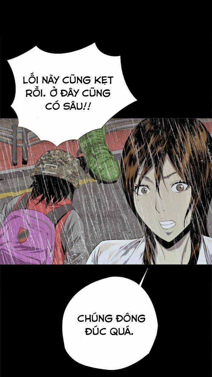 THẢM HỌA ONG ĐỘC - Chapter 54 - Trang 47