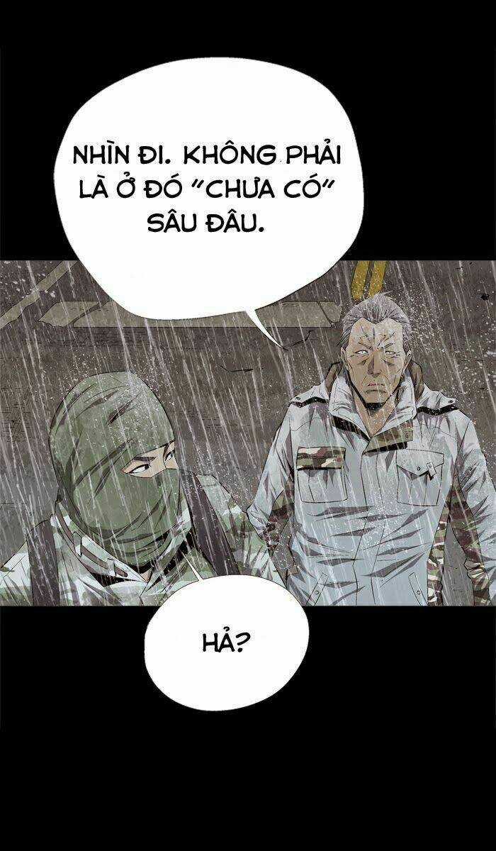THẢM HỌA ONG ĐỘC - Chapter 54 - Trang 49