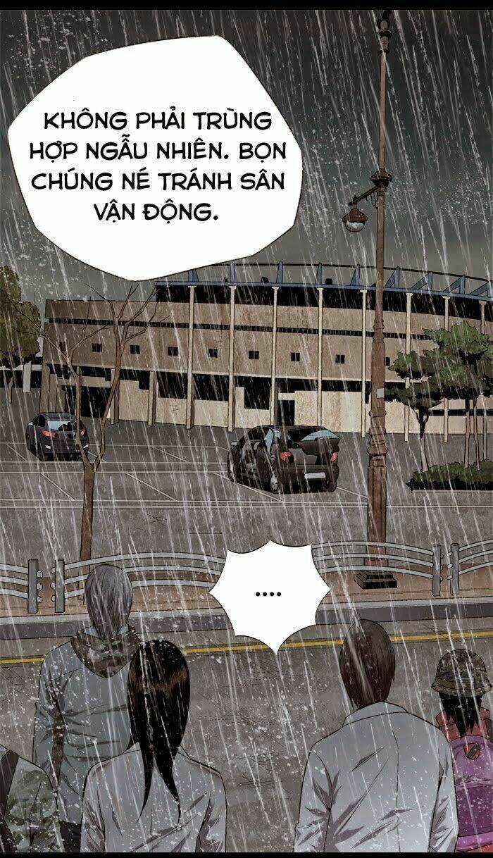 THẢM HỌA ONG ĐỘC - Chapter 54 - Trang 53