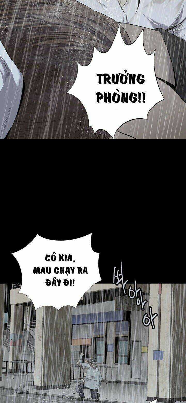 THẢM HỌA ONG ĐỘC - Chapter 55 - Trang 5