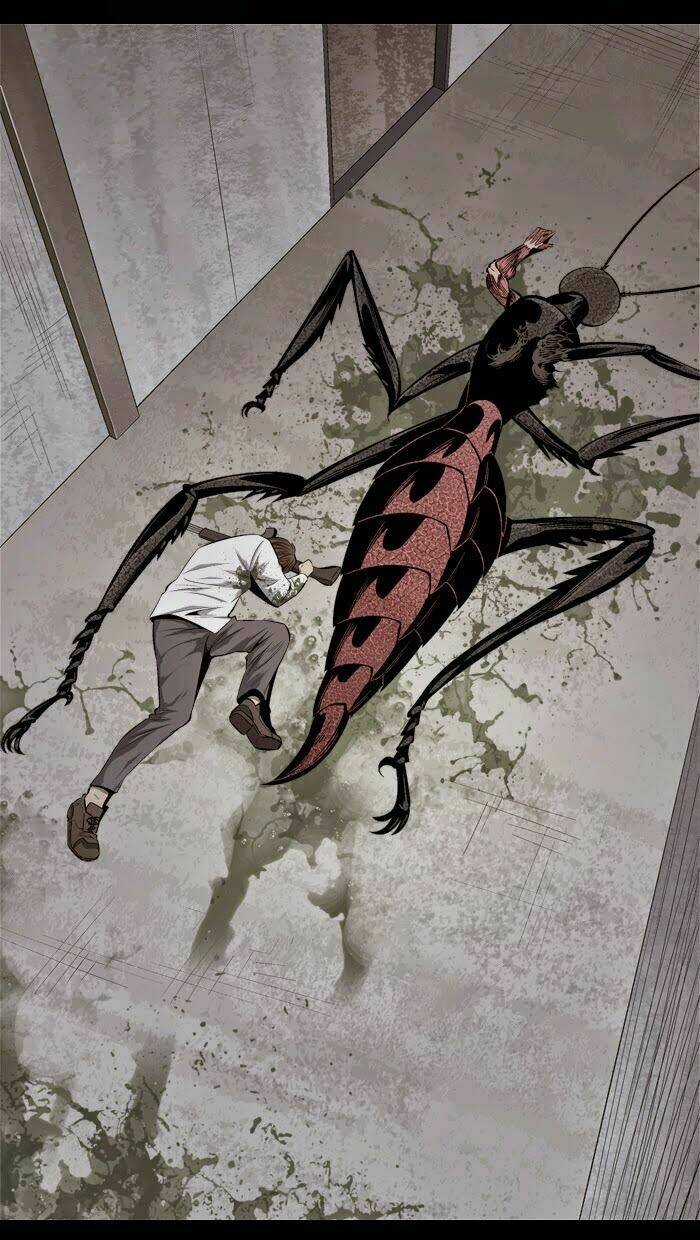 THẢM HỌA ONG ĐỘC - Chapter 57 - Trang 22