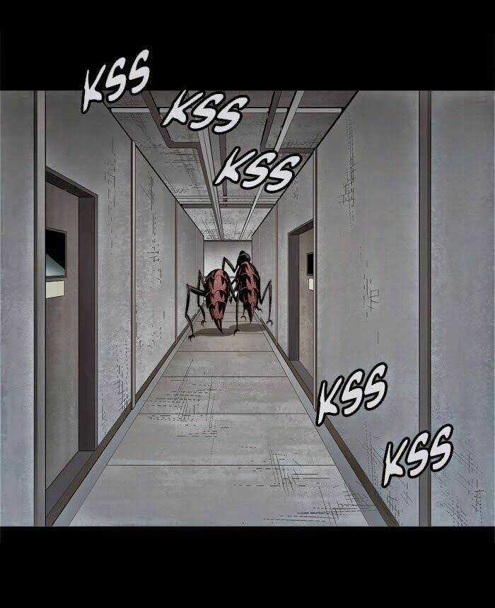 THẢM HỌA ONG ĐỘC - Chapter 57 - Trang 5