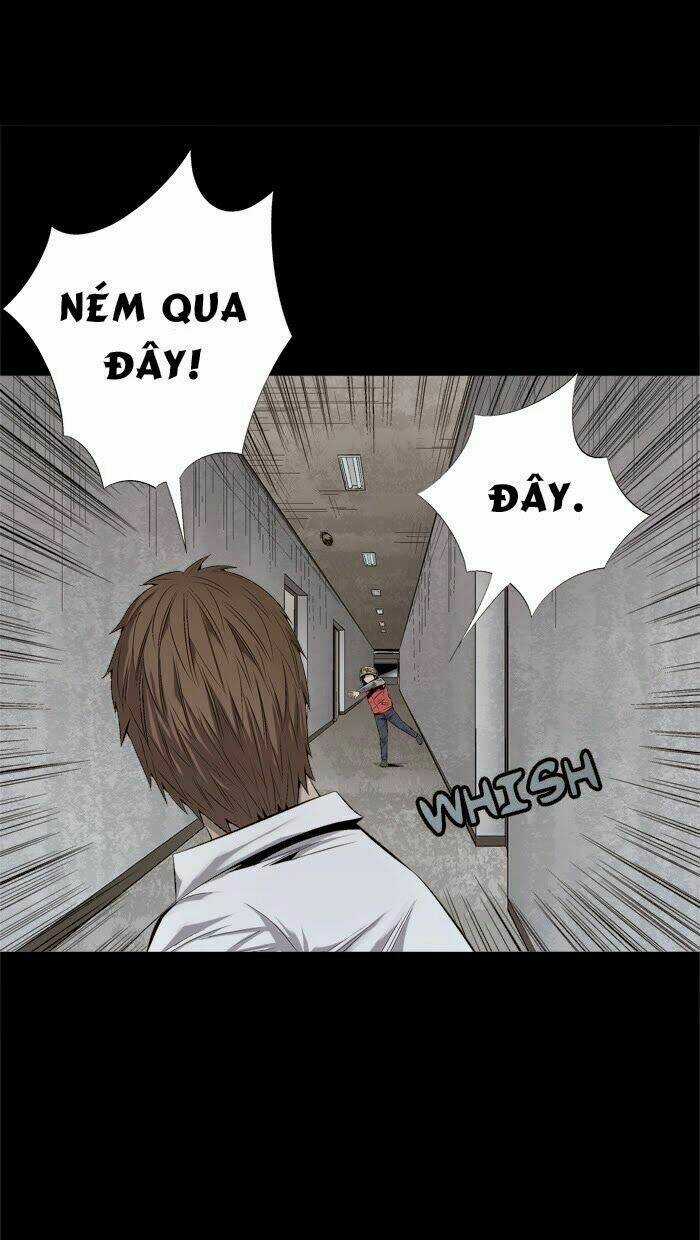 THẢM HỌA ONG ĐỘC - Chapter 58 - Trang 11