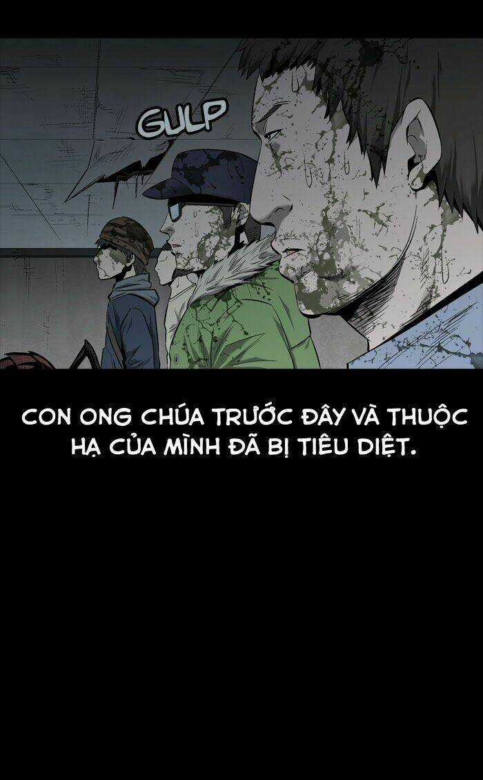 THẢM HỌA ONG ĐỘC - Chapter 59 - Trang 12