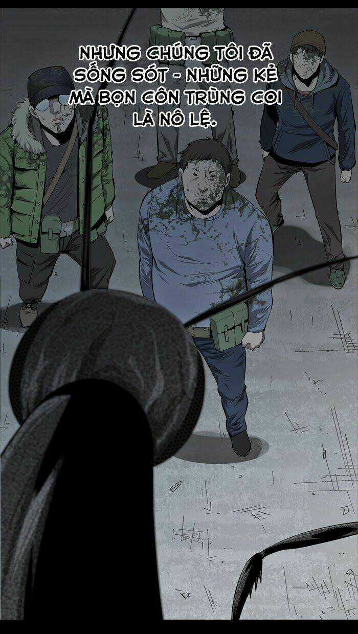 THẢM HỌA ONG ĐỘC - Chapter 59 - Trang 13