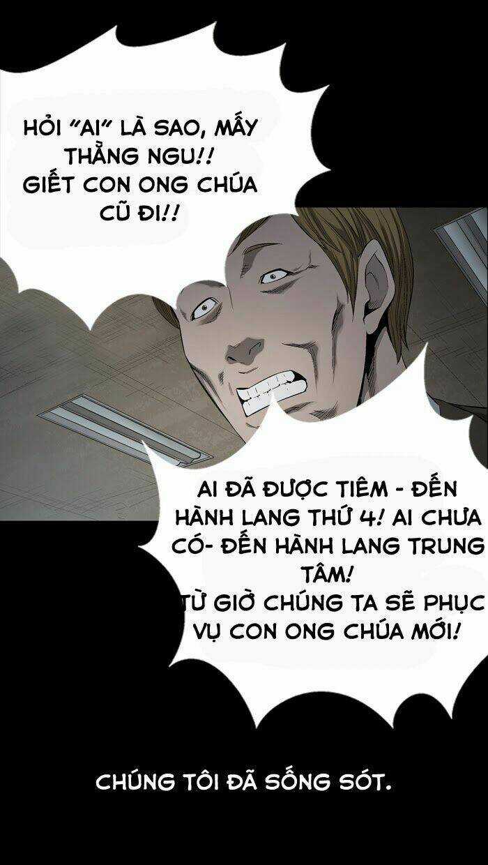 THẢM HỌA ONG ĐỘC - Chapter 59 - Trang 19