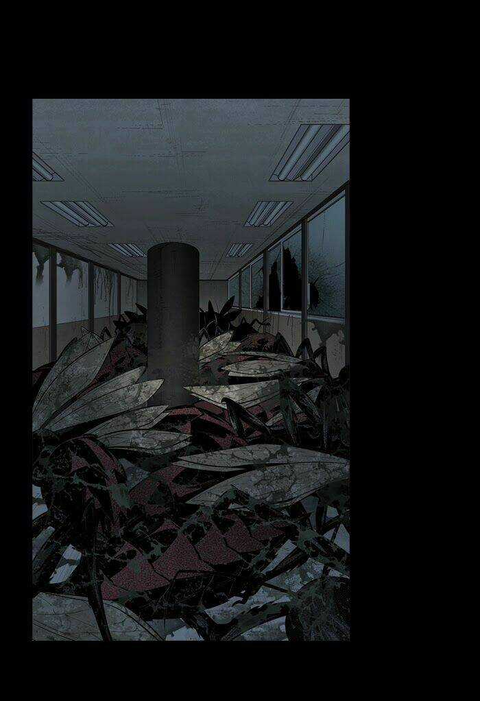 THẢM HỌA ONG ĐỘC - Chapter 59 - Trang 3