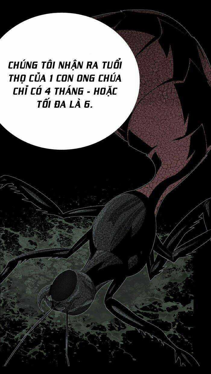 THẢM HỌA ONG ĐỘC - Chapter 59 - Trang 70