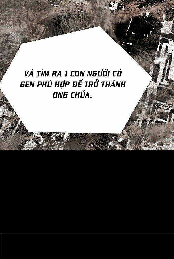 THẢM HỌA ONG ĐỘC - Chapter 59 - Trang 79