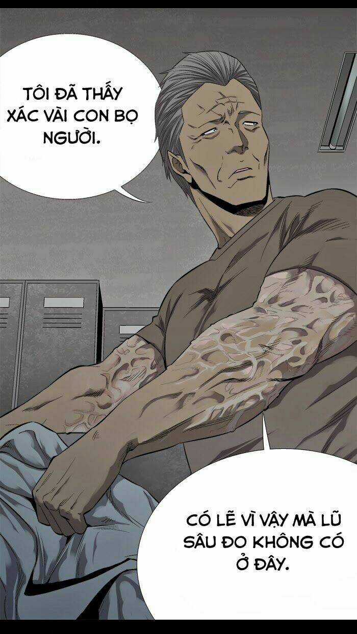 THẢM HỌA ONG ĐỘC - Chapter 62 - Trang 31