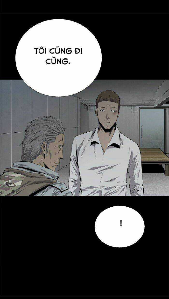 THẢM HỌA ONG ĐỘC - Chapter 62 - Trang 39