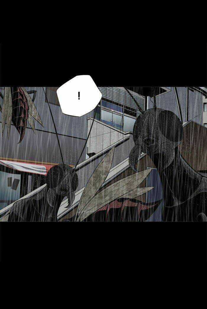 THẢM HỌA ONG ĐỘC - Chapter 64 - Trang 21