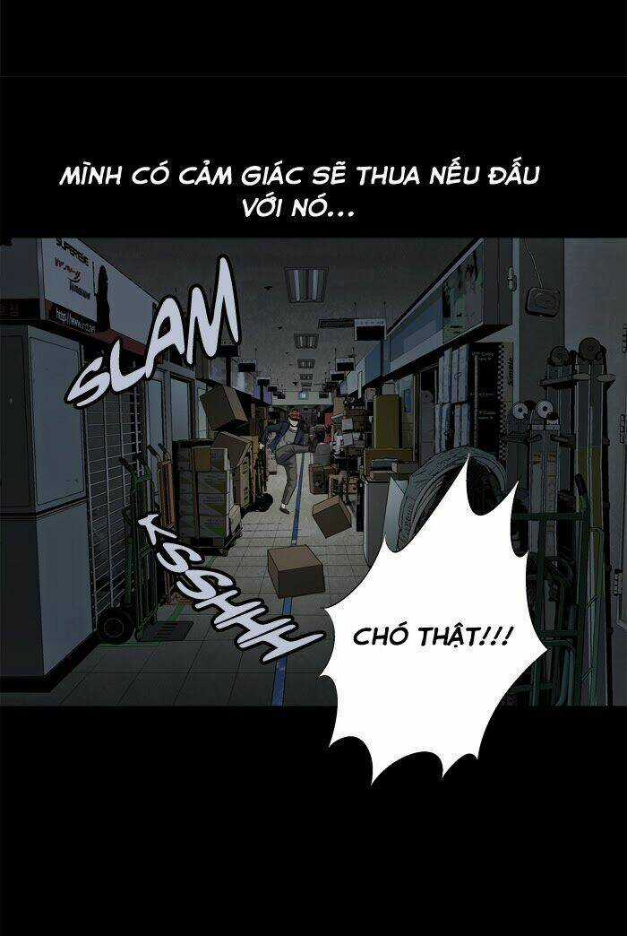 THẢM HỌA ONG ĐỘC - Chapter 64 - Trang 46