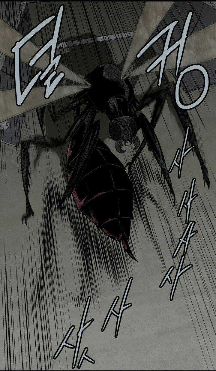 THẢM HỌA ONG ĐỘC - Chapter 66 - Trang 12