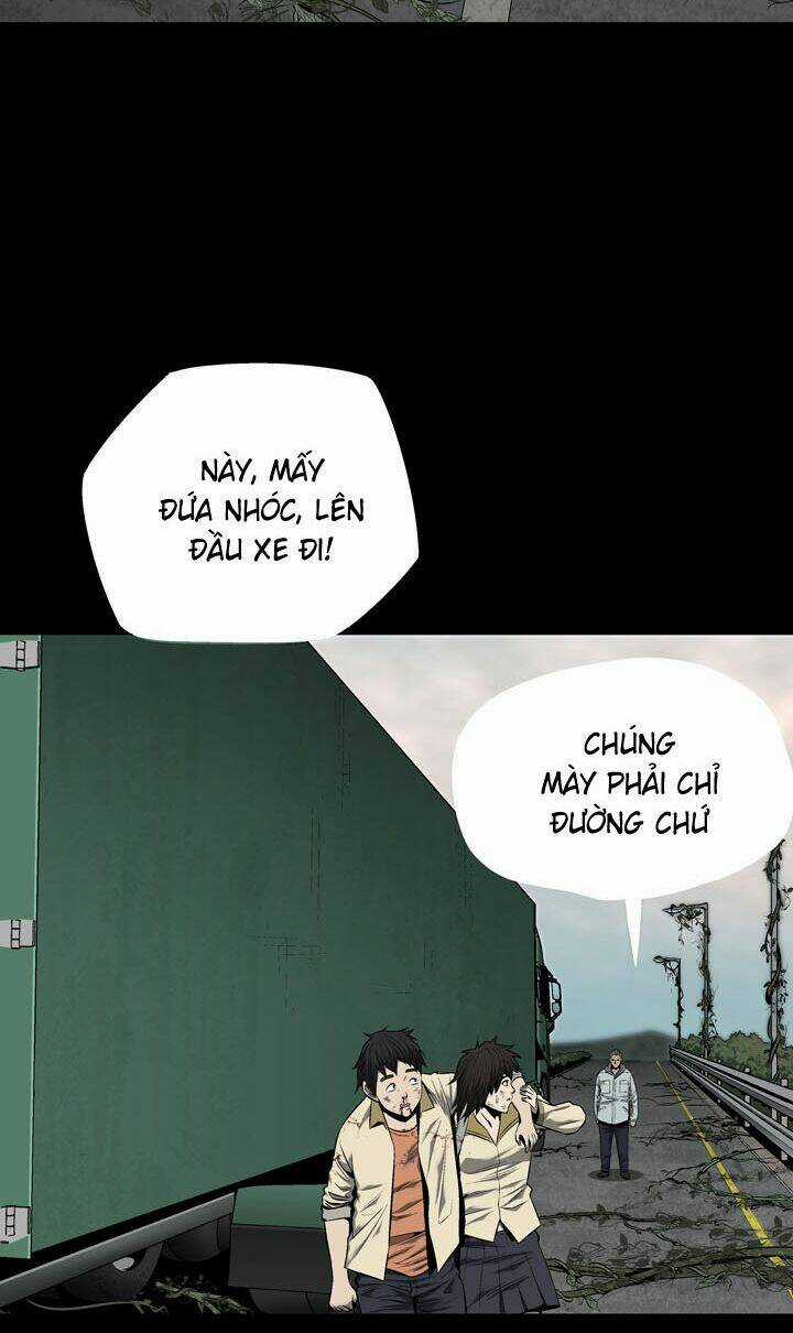 THẢM HỌA ONG ĐỘC - Chapter 69 - Trang 4