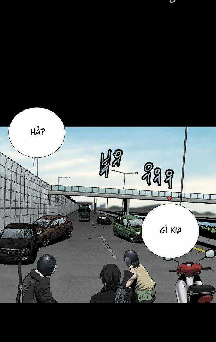 THẢM HỌA ONG ĐỘC - Chapter 69 - Trang 31