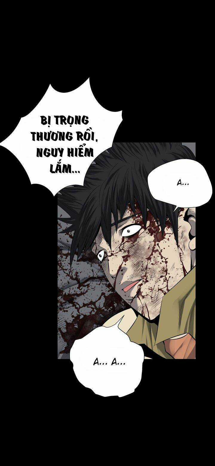 THẢM HỌA ONG ĐỘC - Chapter 70 - Trang 52