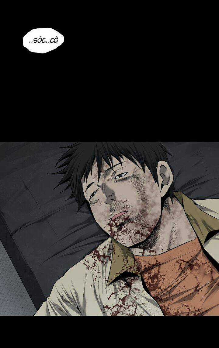 THẢM HỌA ONG ĐỘC - Chapter 71 - Trang 16