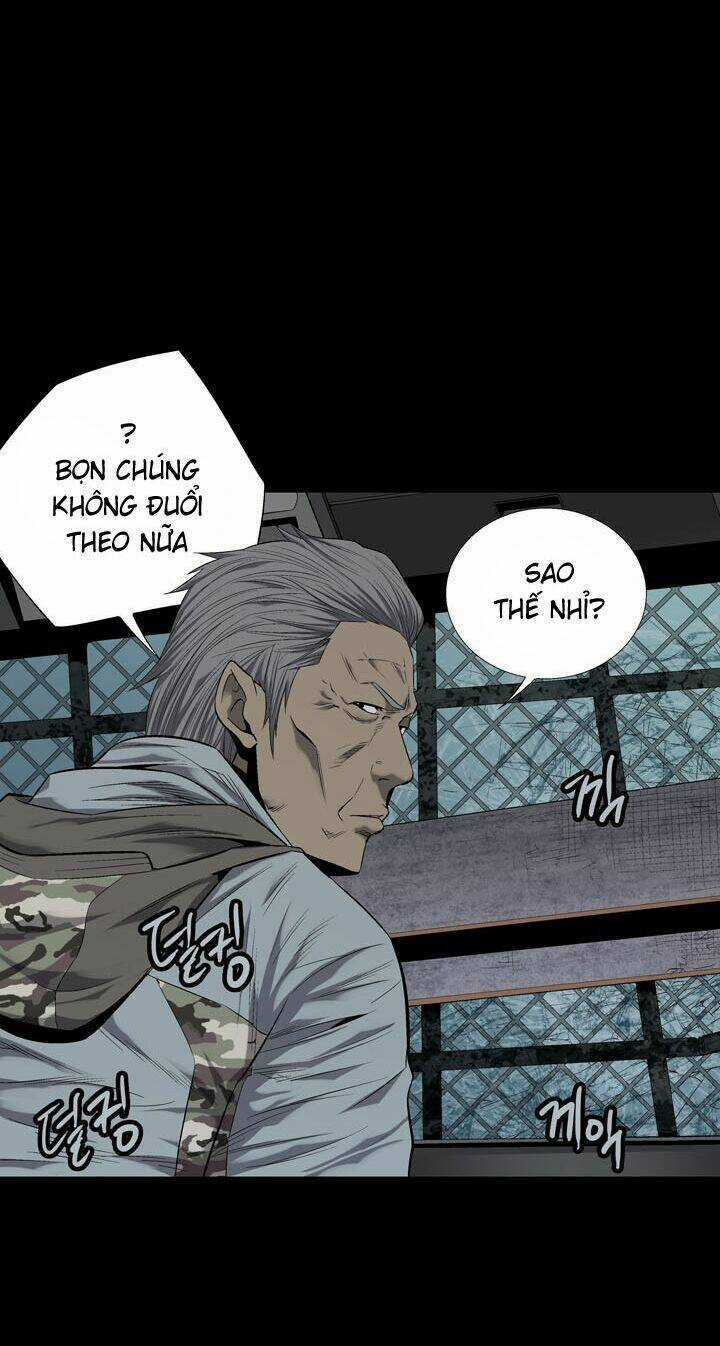 THẢM HỌA ONG ĐỘC - Chapter 71 - Trang 4