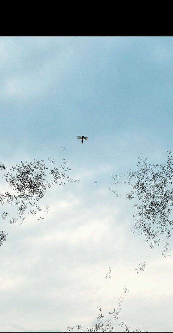 THẢM HỌA ONG ĐỘC - Chapter 71 - Trang 60