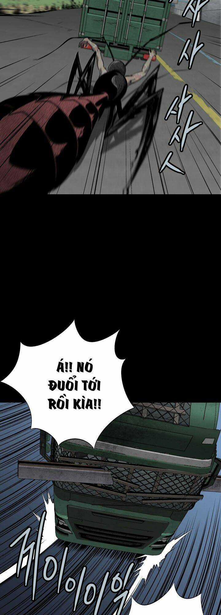 THẢM HỌA ONG ĐỘC - Chapter 72 - Trang 12