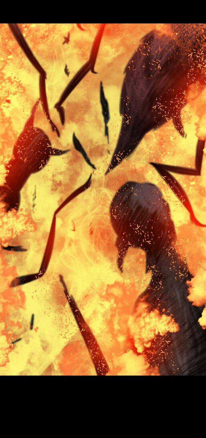 THẢM HỌA ONG ĐỘC - Chapter 73 - Trang 38