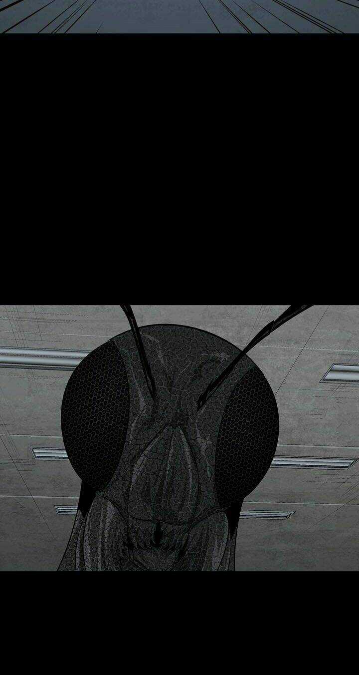 THẢM HỌA ONG ĐỘC - Chapter 74 - Trang 50