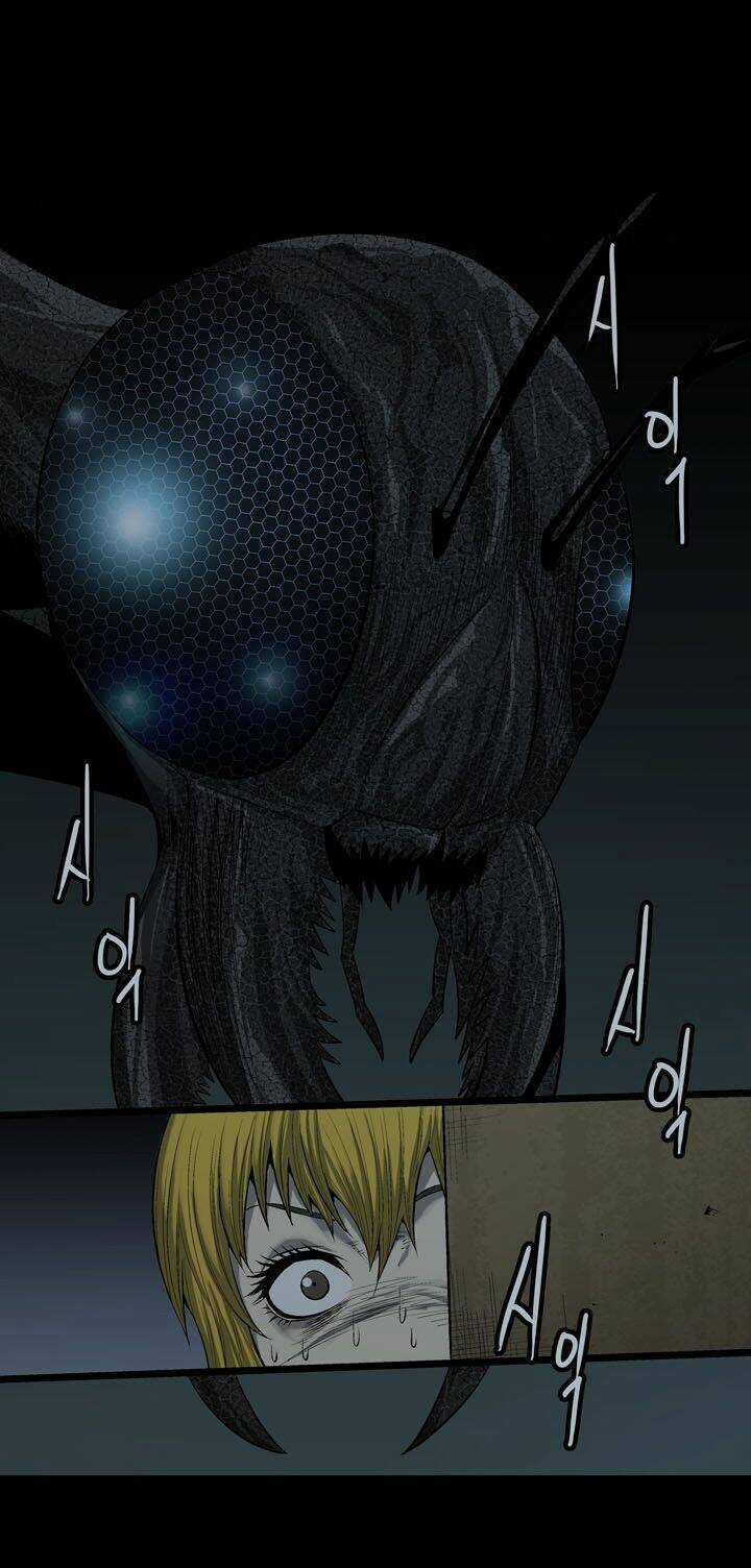 THẢM HỌA ONG ĐỘC - Chapter 75 - Trang 42