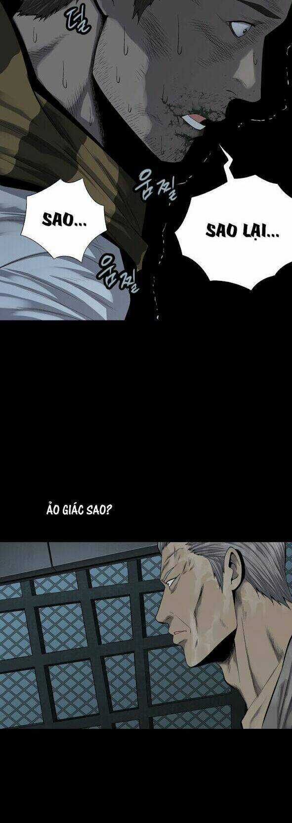 THẢM HỌA ONG ĐỘC - Chapter 78 - Trang 4