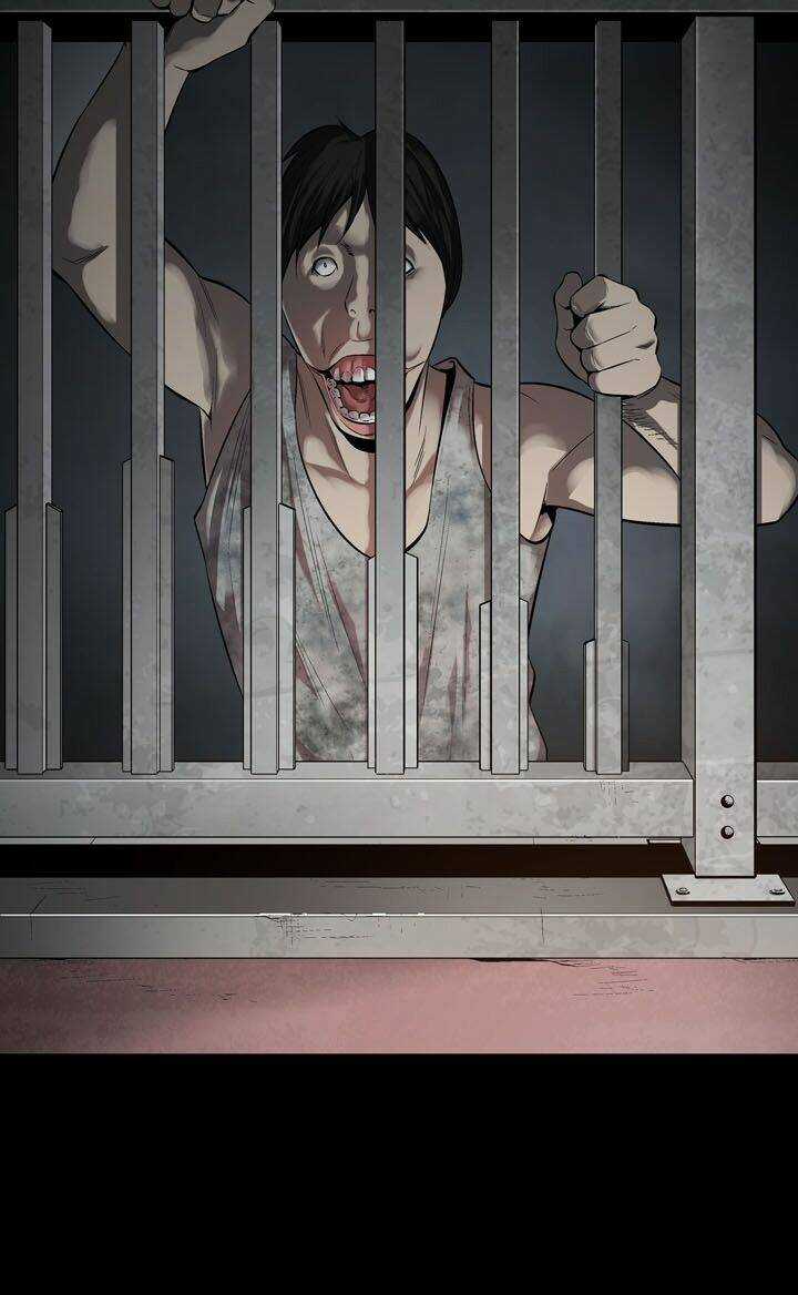 THẢM HỌA ONG ĐỘC - Chapter 79 - Trang 15