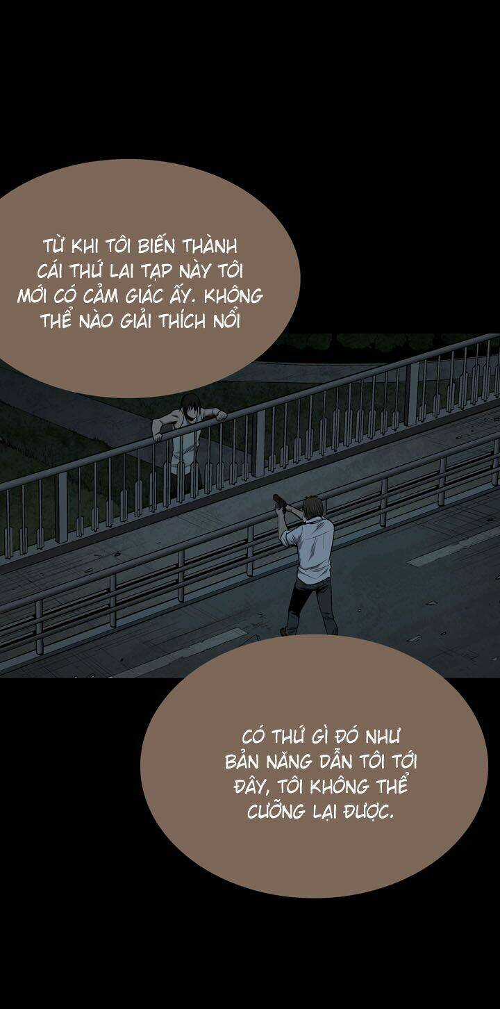 THẢM HỌA ONG ĐỘC - Chapter 79 - Trang 32