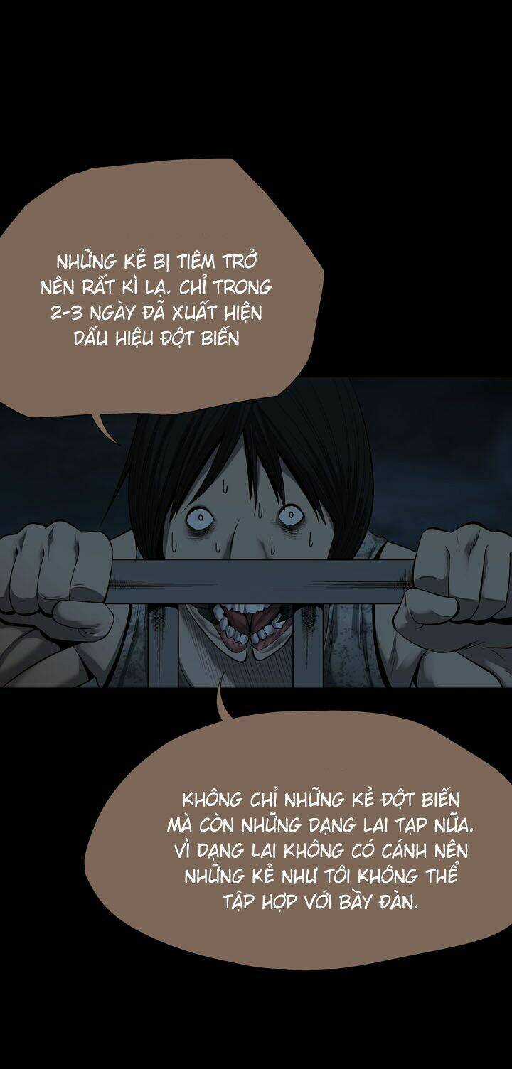 THẢM HỌA ONG ĐỘC - Chapter 79 - Trang 36