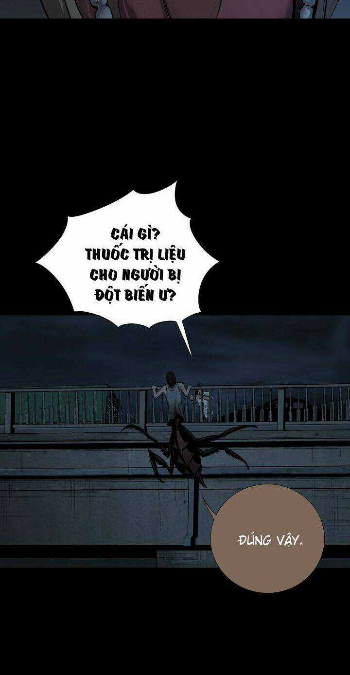THẢM HỌA ONG ĐỘC - Chapter 79 - Trang 41