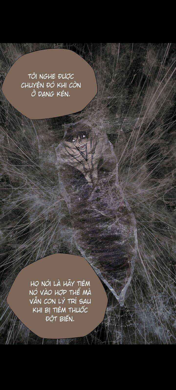 THẢM HỌA ONG ĐỘC - Chapter 79 - Trang 42