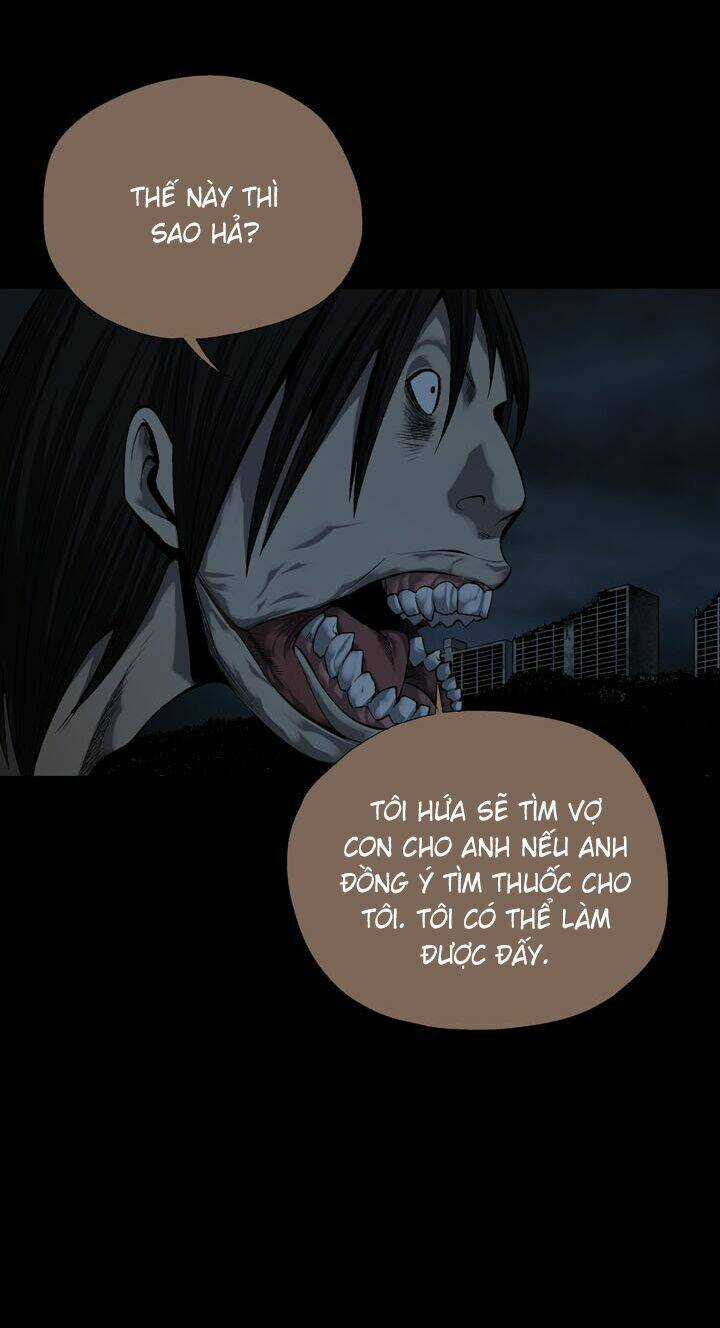 THẢM HỌA ONG ĐỘC - Chapter 79 - Trang 49