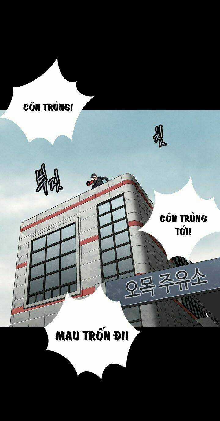 THẢM HỌA ONG ĐỘC - Chapter 81 - Trang 25