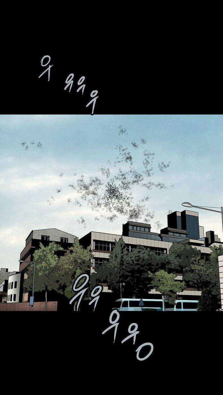 THẢM HỌA ONG ĐỘC - Chapter 81 - Trang 30