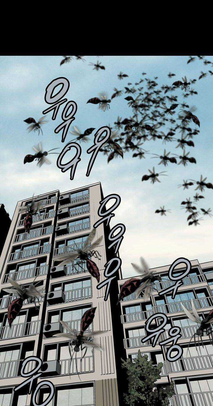 THẢM HỌA ONG ĐỘC - Chapter 81 - Trang 31