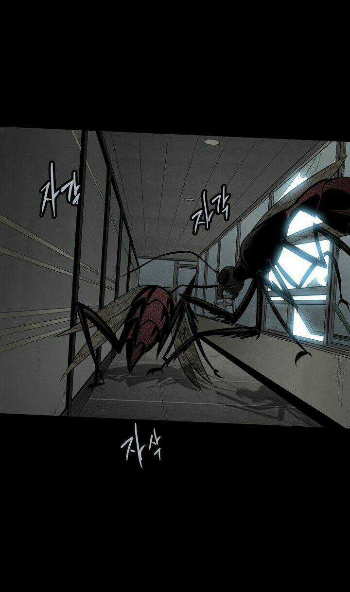 THẢM HỌA ONG ĐỘC - Chapter 81 - Trang 33