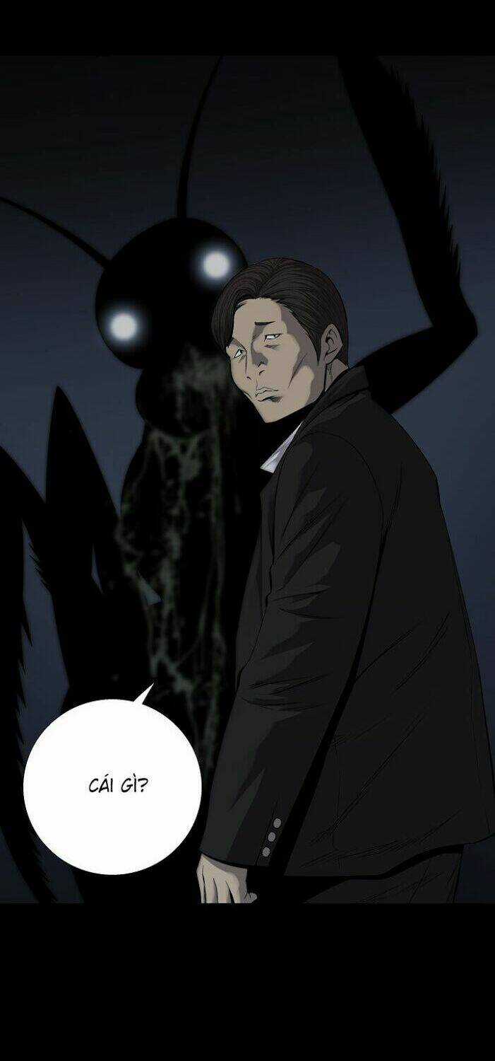 THẢM HỌA ONG ĐỘC - Chapter 82 - Trang 19