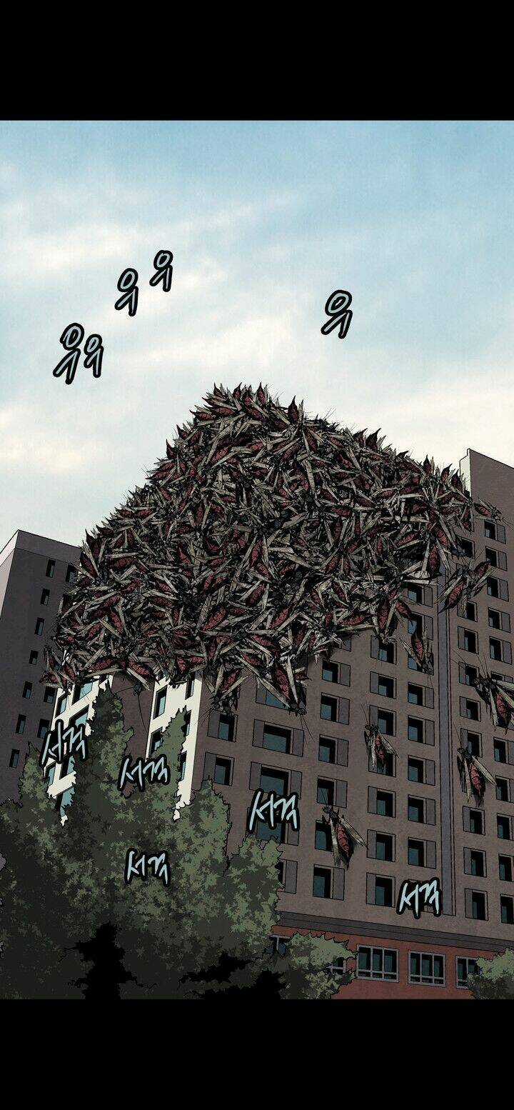 THẢM HỌA ONG ĐỘC - Chapter 82 - Trang 47