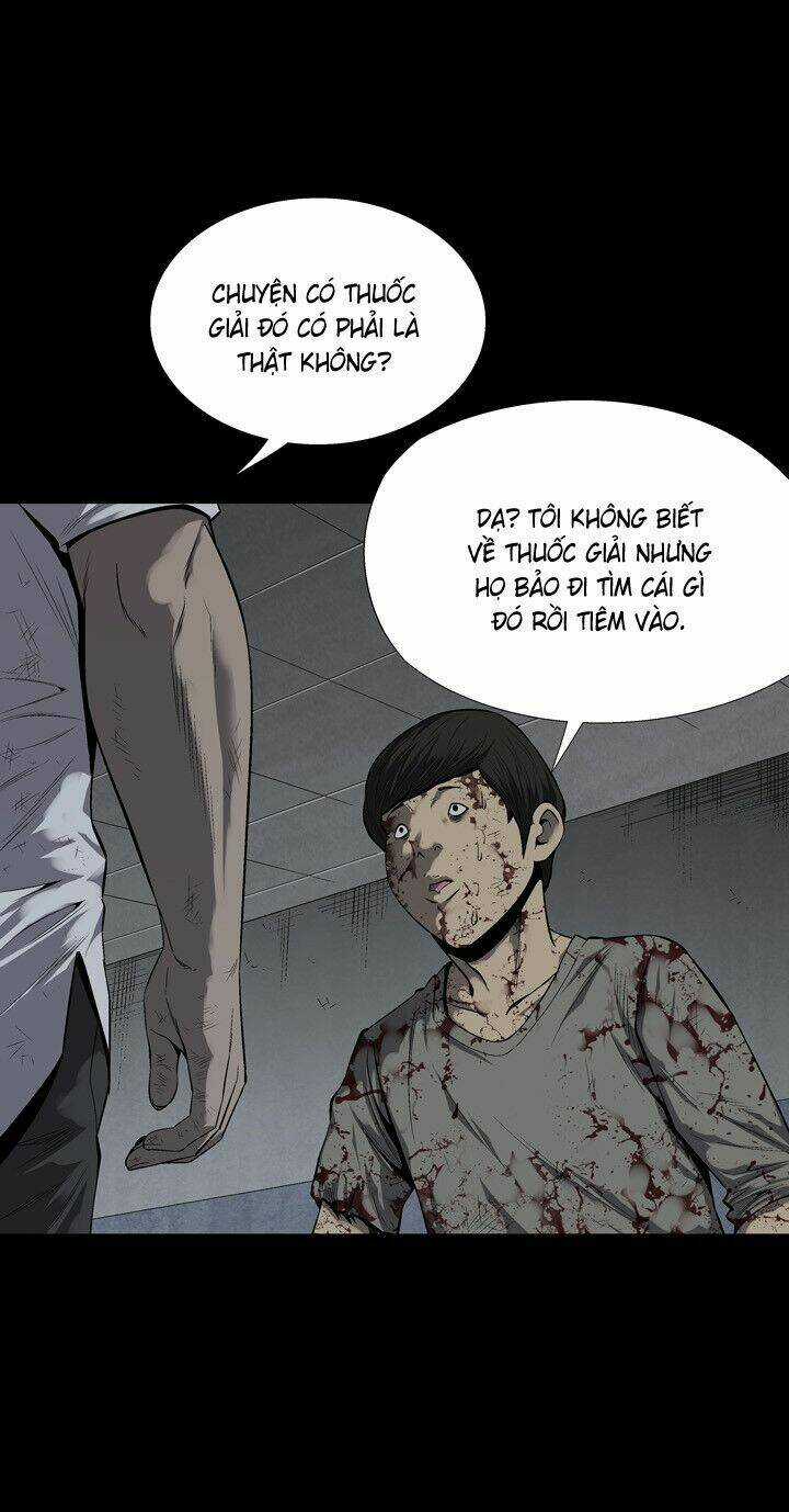 THẢM HỌA ONG ĐỘC - Chapter 83 - Trang 41