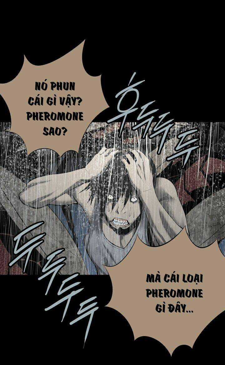 THẢM HỌA ONG ĐỘC - Chapter 84 - Trang 11