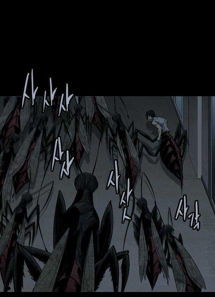 THẢM HỌA ONG ĐỘC - Chapter 84 - Trang 3