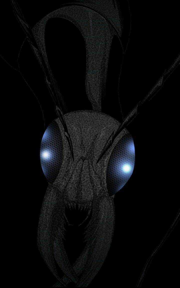 THẢM HỌA ONG ĐỘC - Chapter 85 - Trang 33